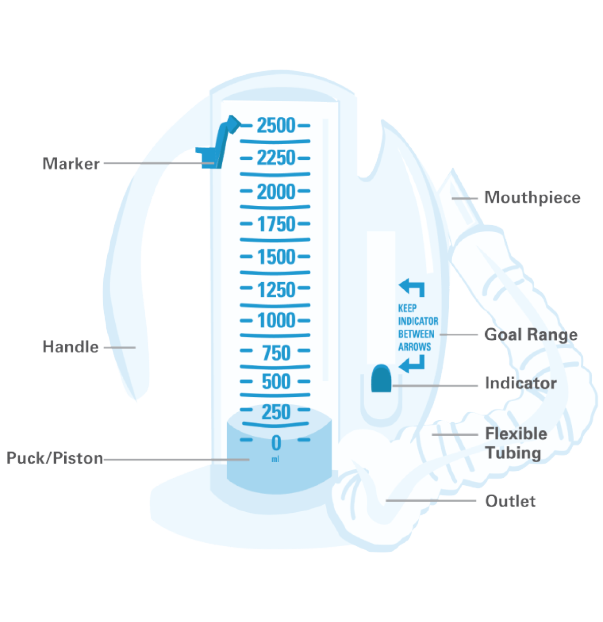 Spirometer infographic