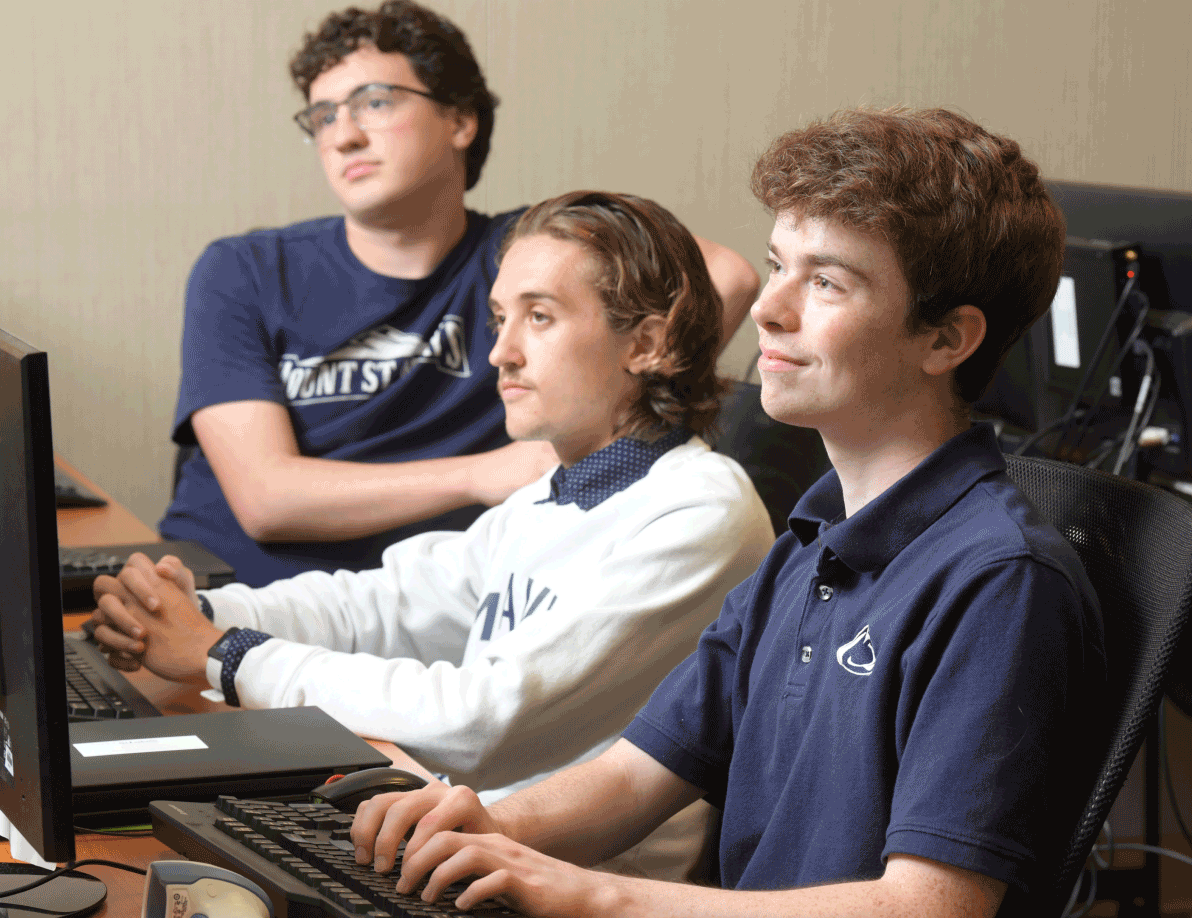 Group of interns working on computers
