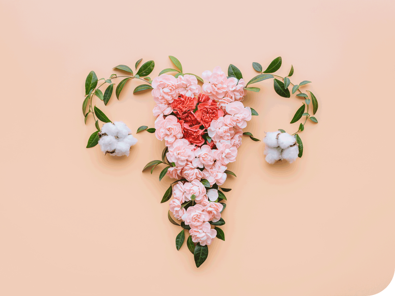 Flowers in the shape of a uterus