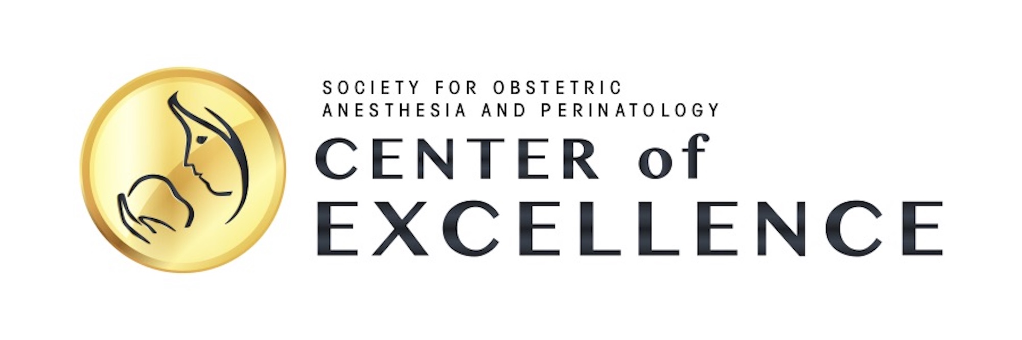 Society for Obstetric Anesthesia and Perinatology Center of Excellence